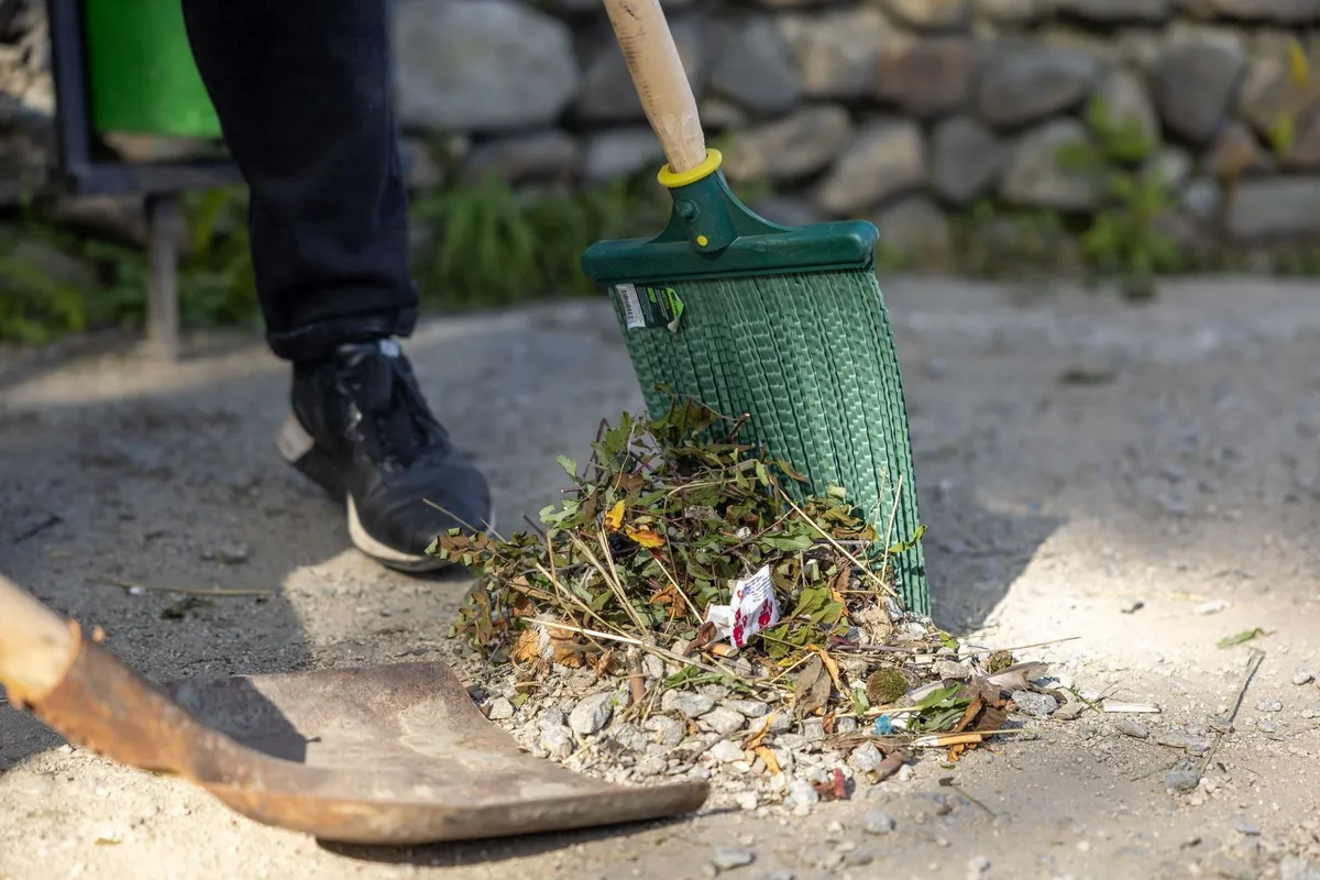 A person rakes leaves and debris in their backyard, emphasizing the importance of proper cleanup techniques.