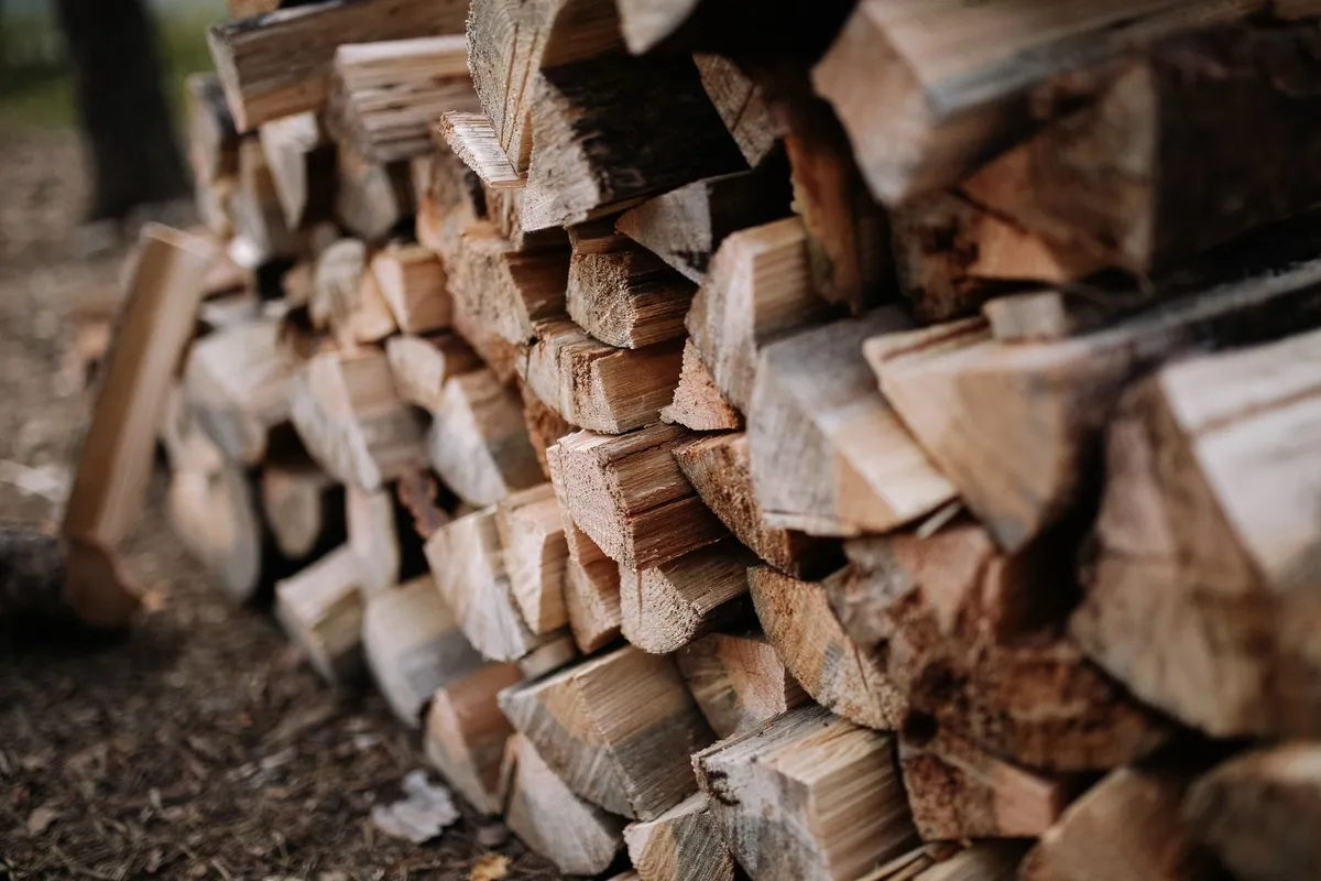 Close-up of stacked wooden logs showcasing their texture, relating to outdoor cleanup challenges.